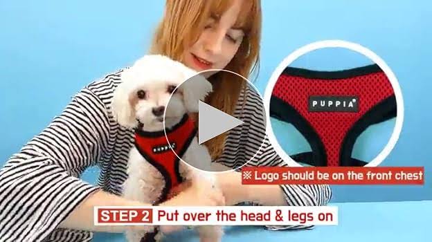 Puppia Vivien Harness A, Small, Royal Blue