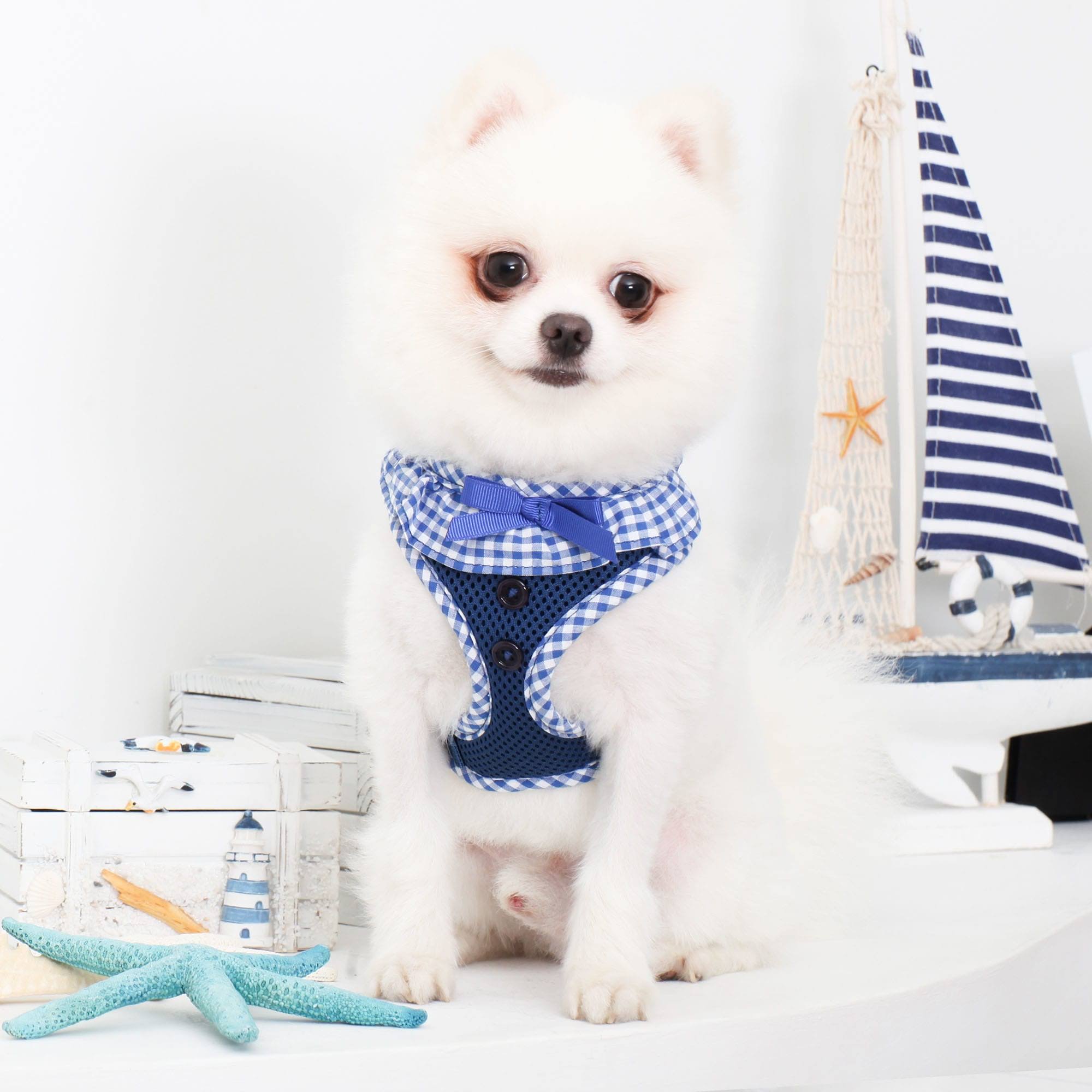 Puppia Vivien Harness A, Small, Royal Blue