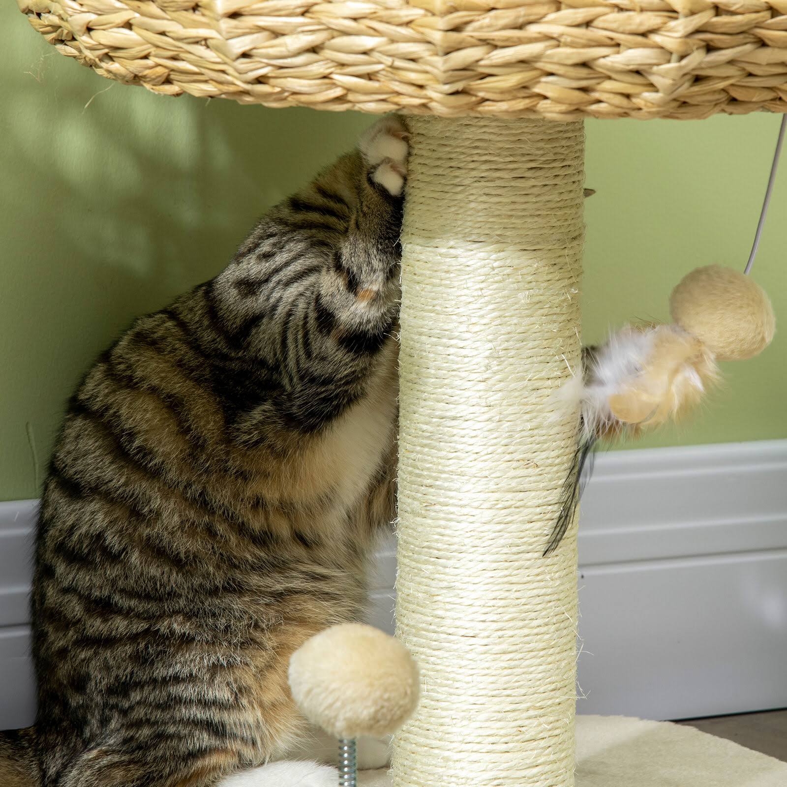 PawHut 51cm Cat Activity Centre W Top Bed Toy Ball Sisal Scratching Post