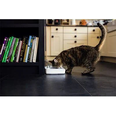 SureFeed - Sealed Pet Bowl.