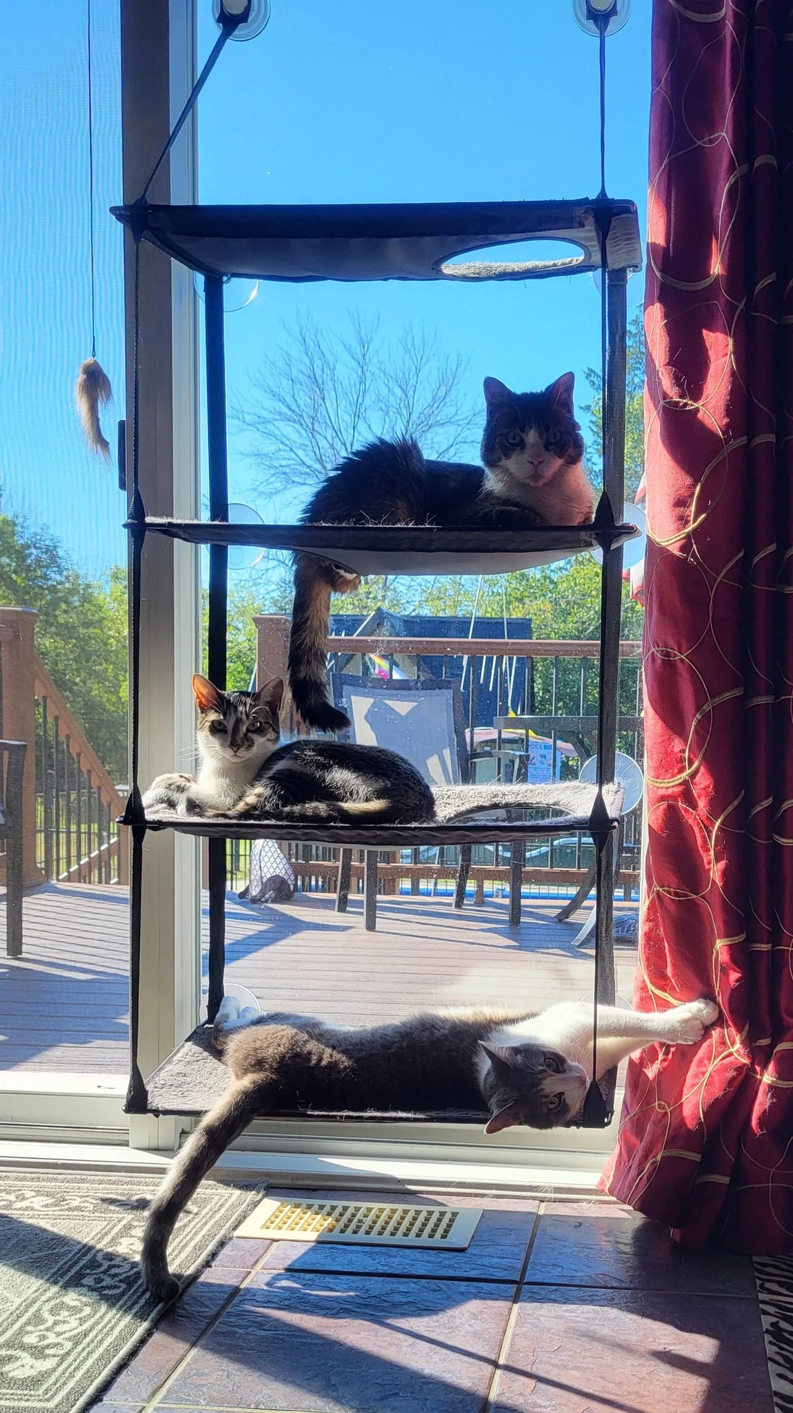 K H Pet Products EZ Mount Window Kitty Sill Quad Stack Gray 12 x 23 Inches