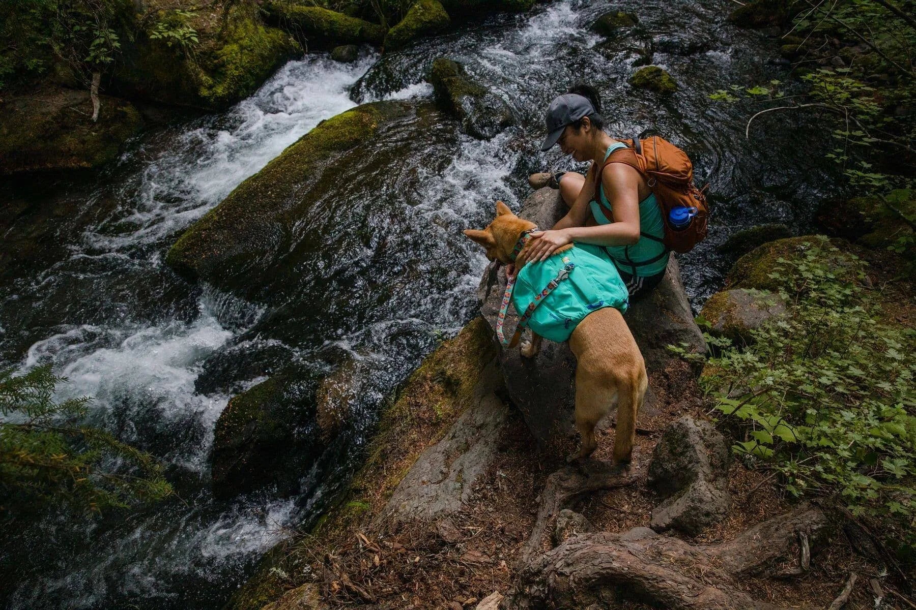 Ruffwear Front Range Day Pack - XS / Red Clay
