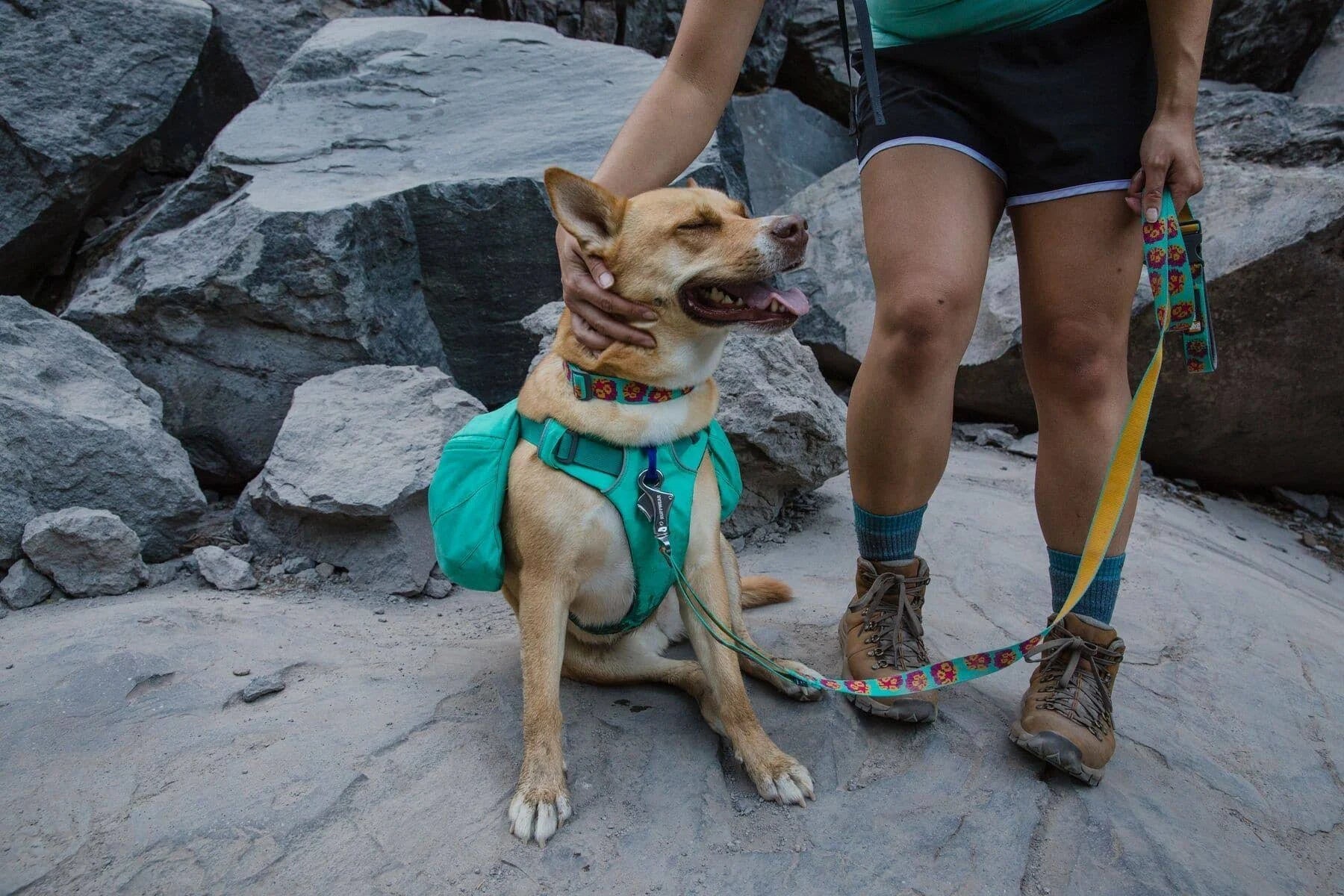 Ruffwear Front Range Day Pack - XS / Red Clay