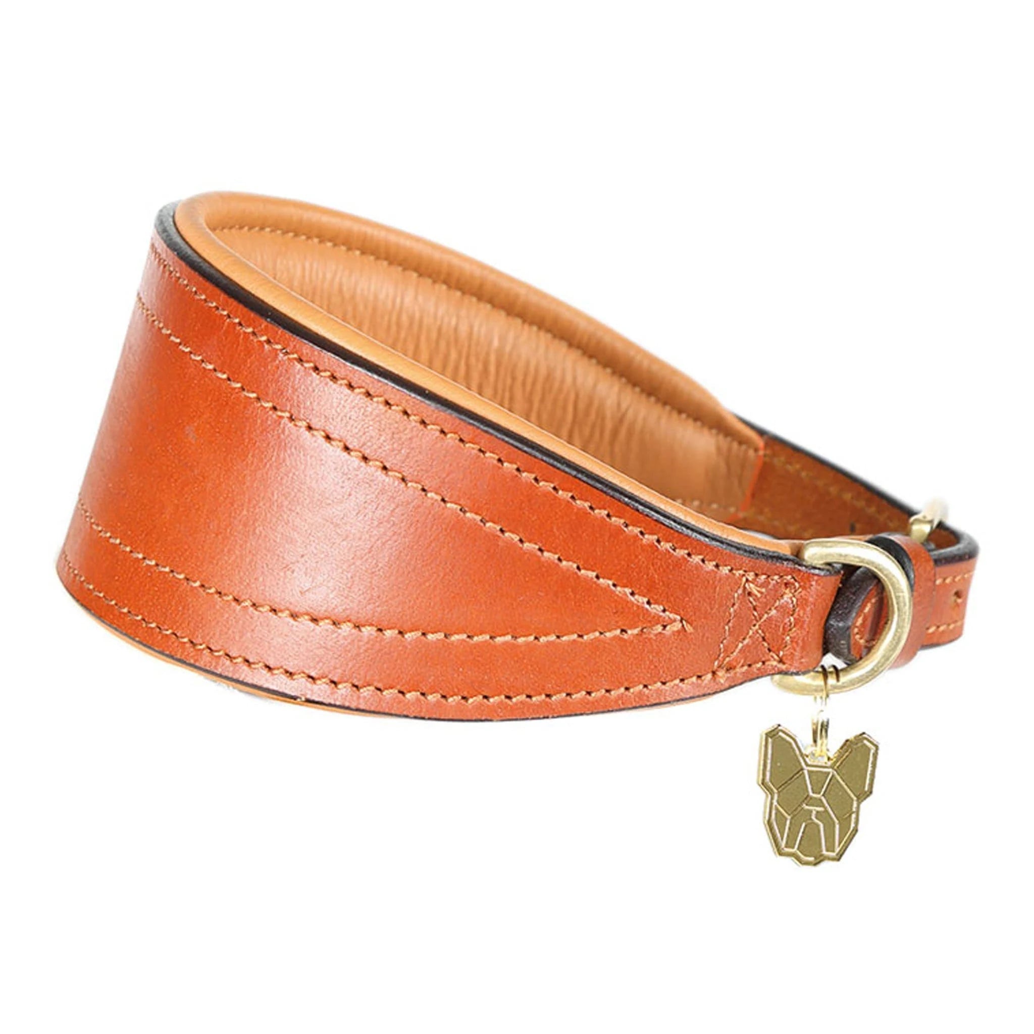 Digby & Fox Padded Greyhound Collar Black Small