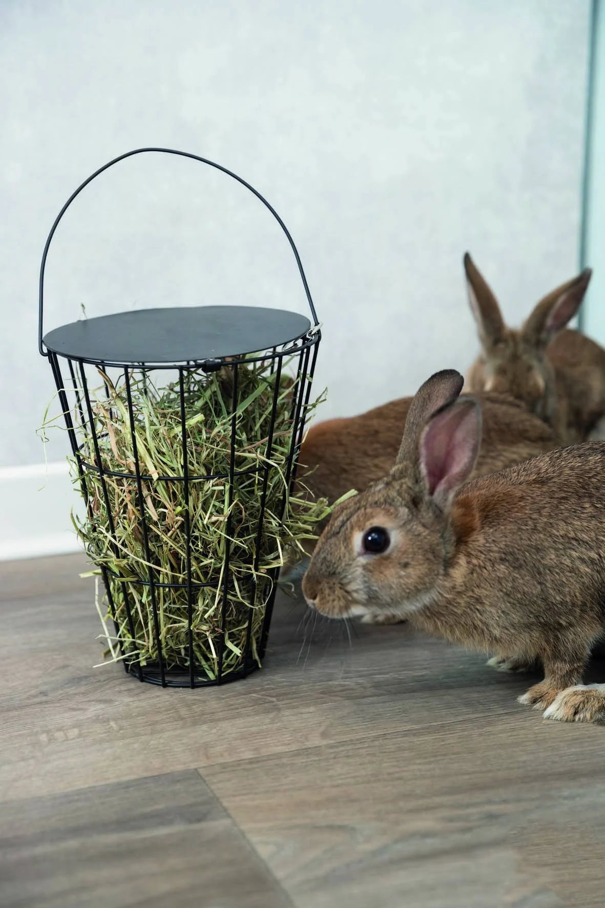 Trixie Hay Manger For Hanging