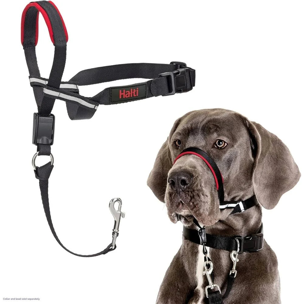 Halti Optifit Headcollar - Small