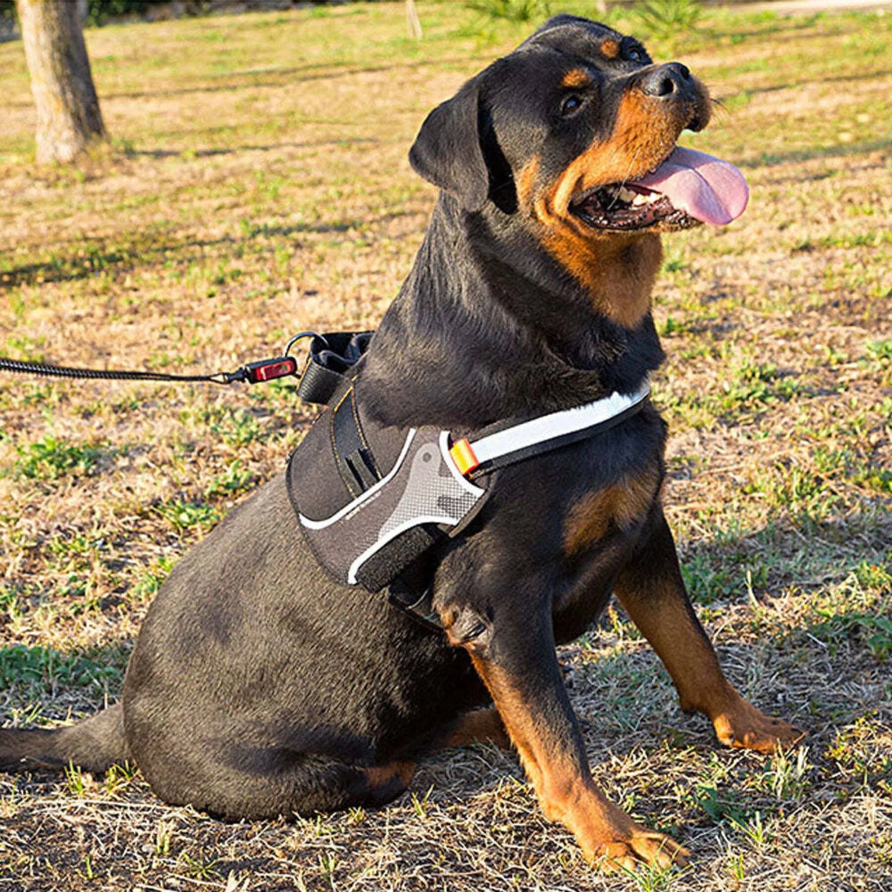 Ferplast Hercules Harness Black Extra Large