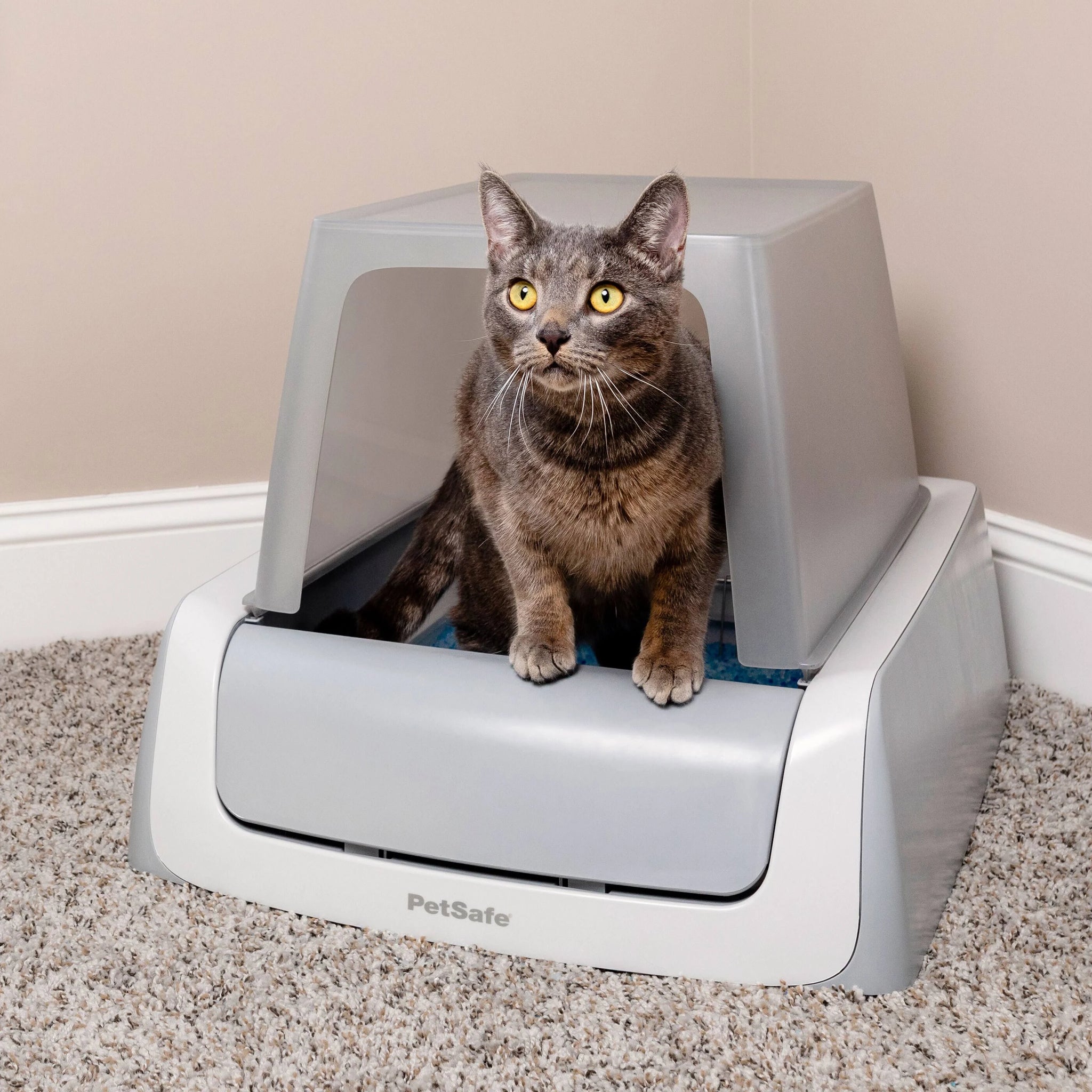 ScoopFree Covered Self-Cleaning Litter Box, Second Generation