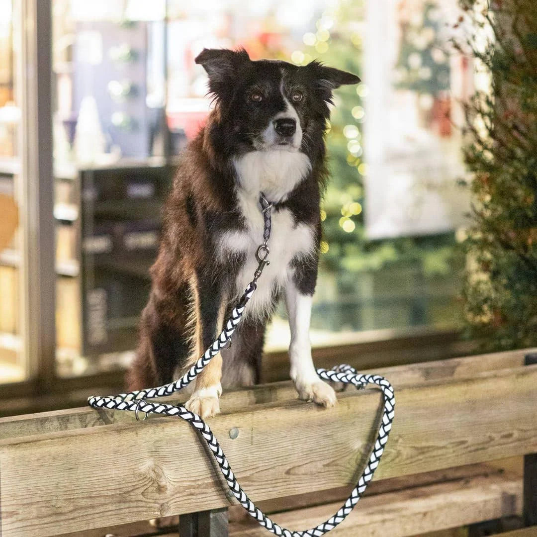 Trixie Cavo Reflect Adjustable Leash Black - 2.00 M/12 mm