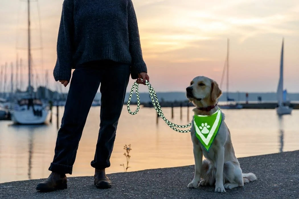 Trixie Cavo Reflect Adjustable Leash Black - 2.00 M/12 mm