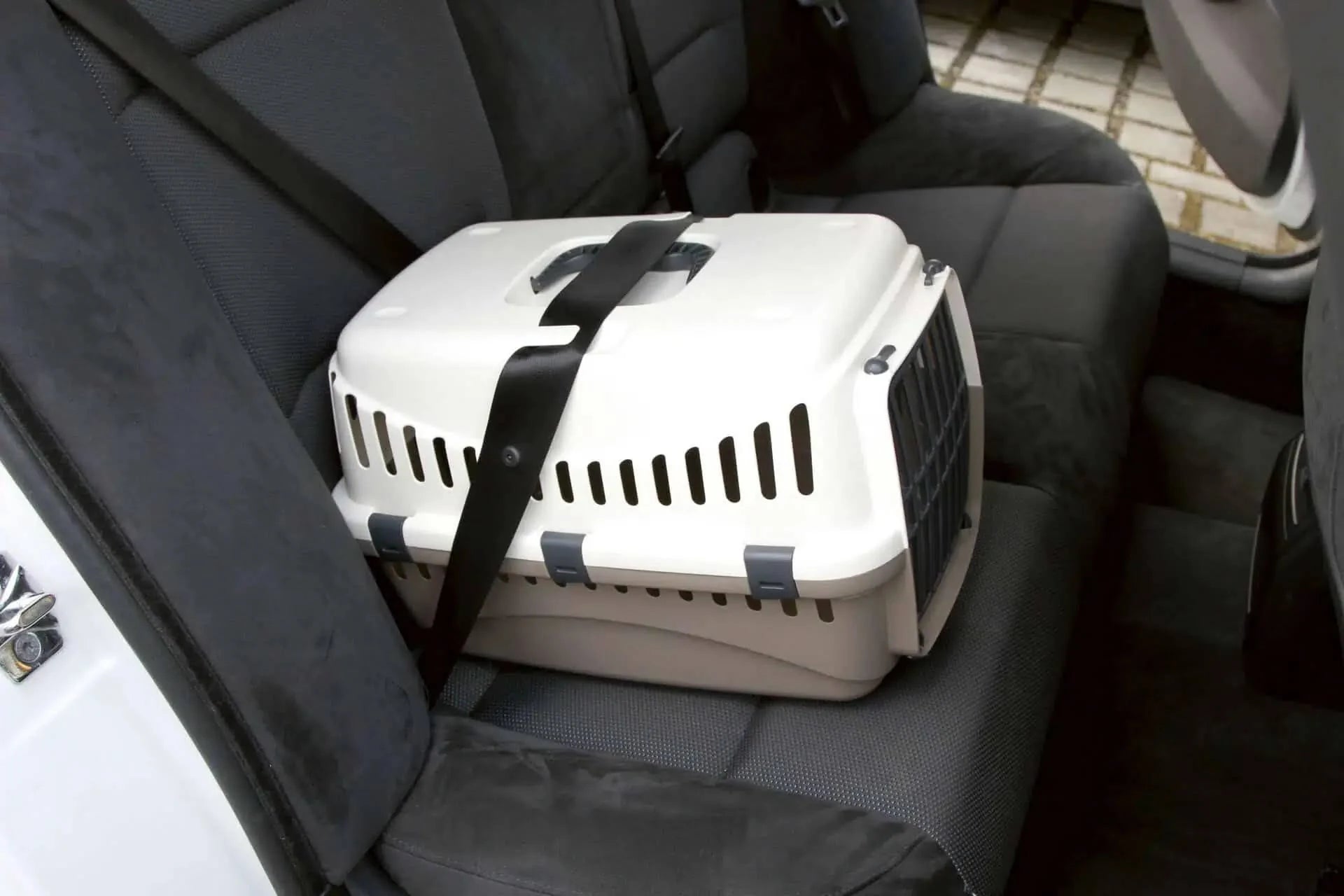 Kerbl Transport Box Expedion W/ Door