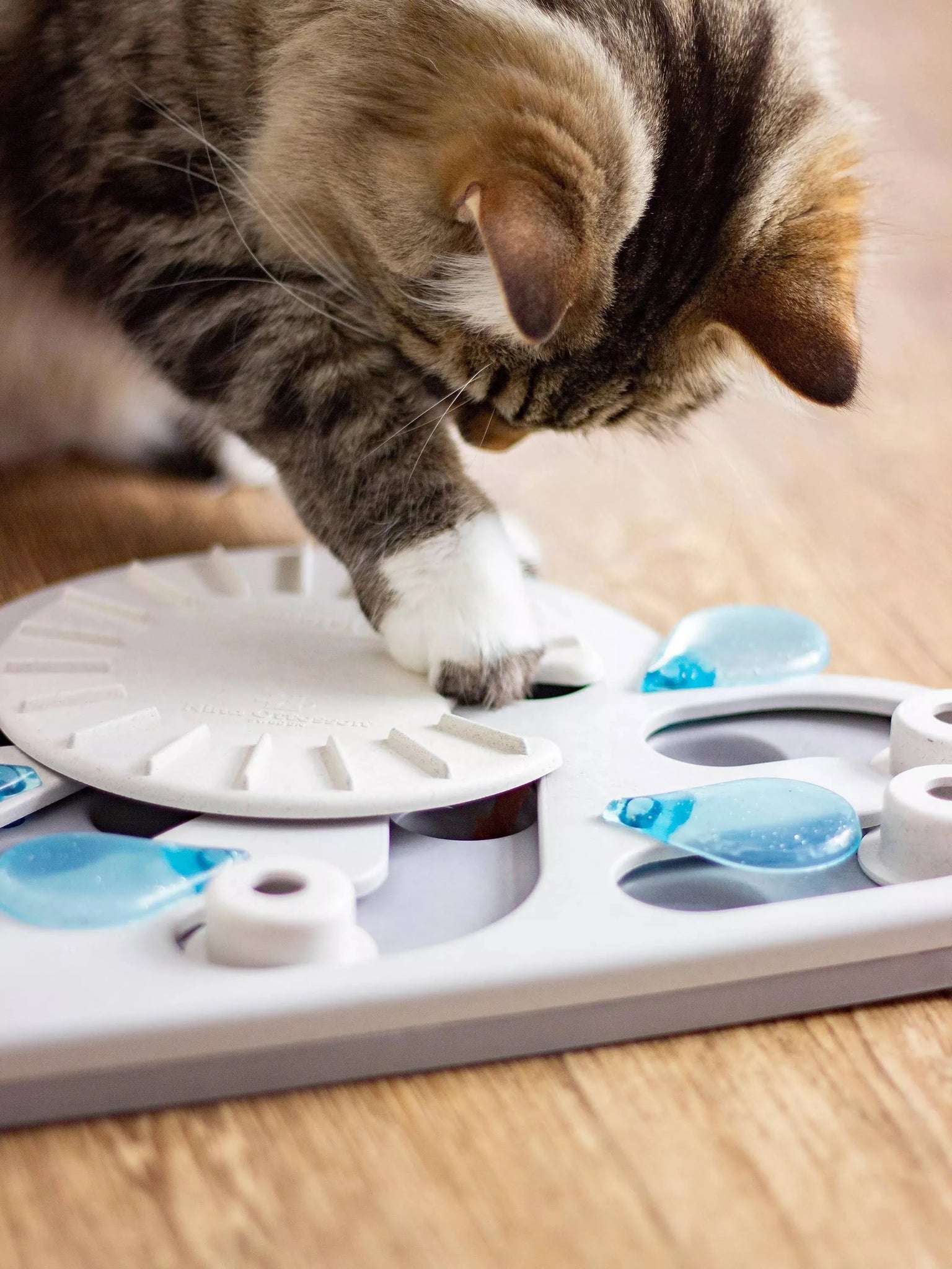 Nina Ottosson Cat Puzzle & Play Rainy Day