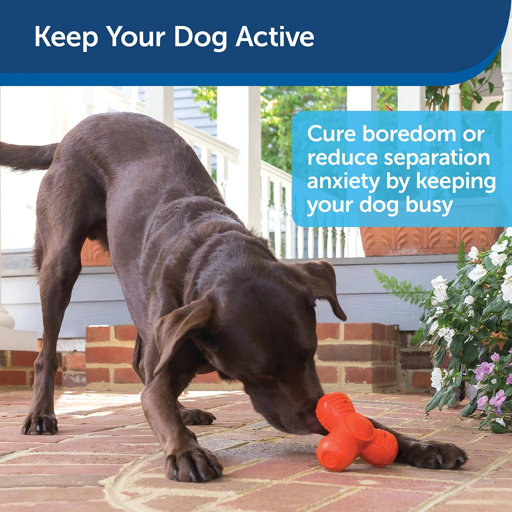 PetSafe Sportsmen Squeak N Treat Troog Refillable Dog Dispensing Toy, Medium