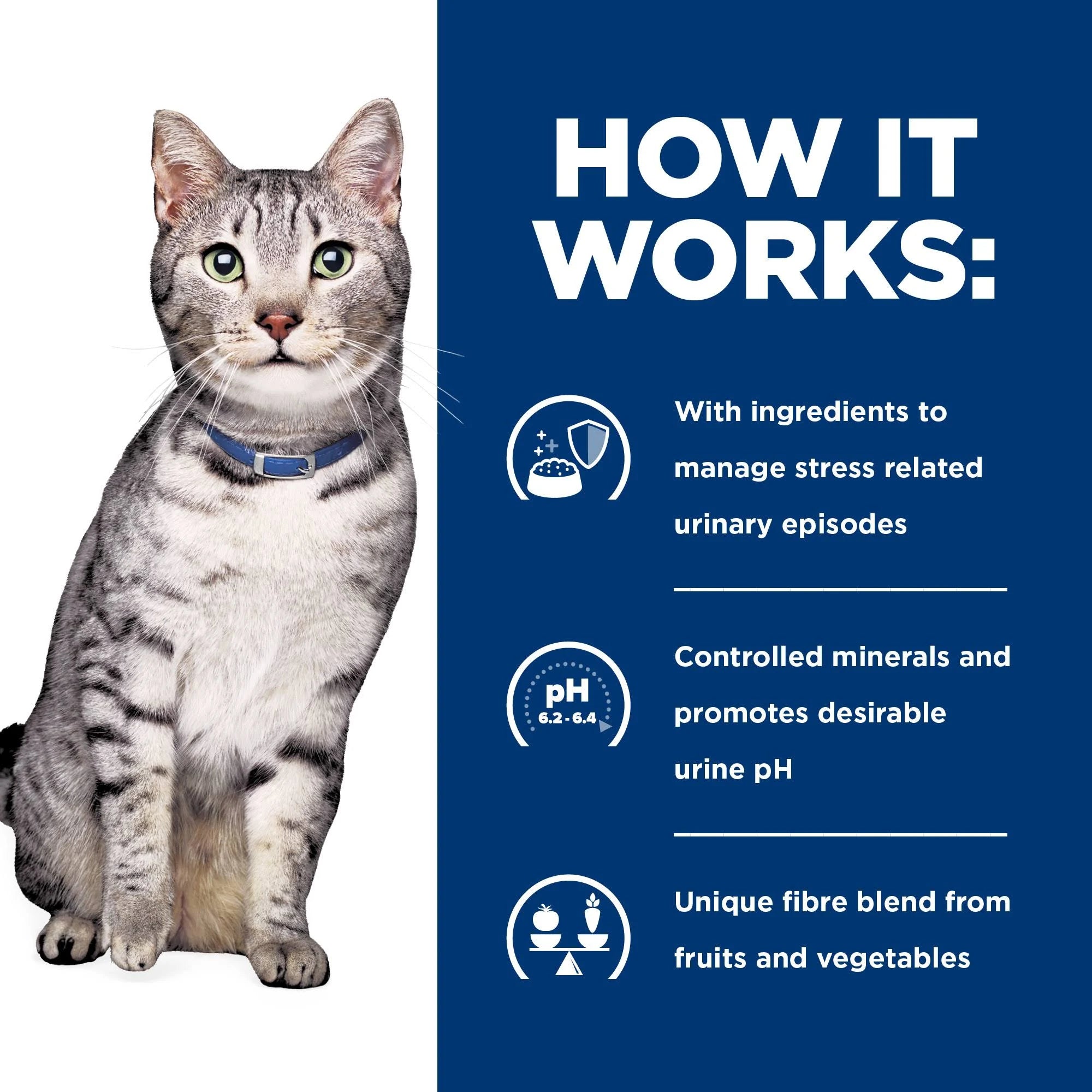 Hill's Prescription Diet C/D Urinary Stress + Metabolic with Chicken Cat Food ...