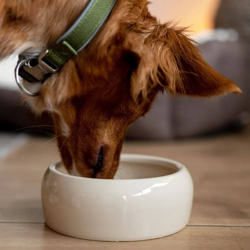 Nobby Ceramic Feeding Trough, 1000 ml