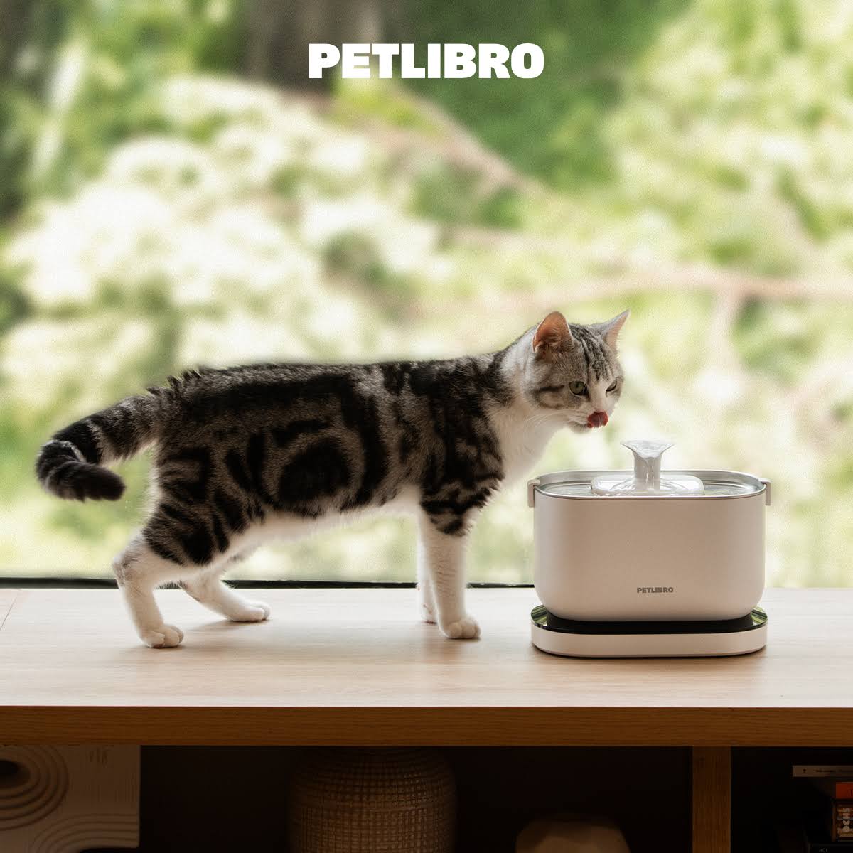 PETLIBRO Dockstream Wireless & Battery Operated Cat Water Fountain, Black ...