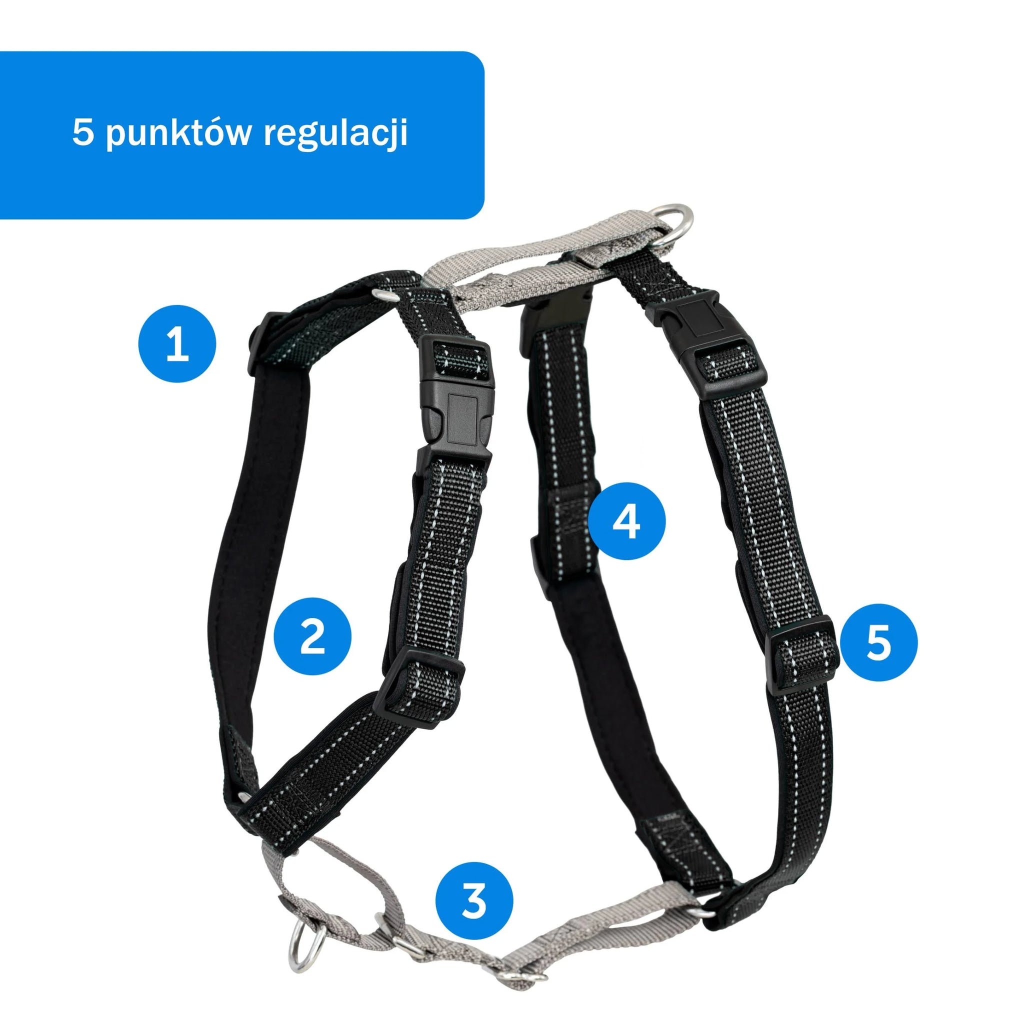 PetSafe 3 in 1 Harness and Car Restraint Small