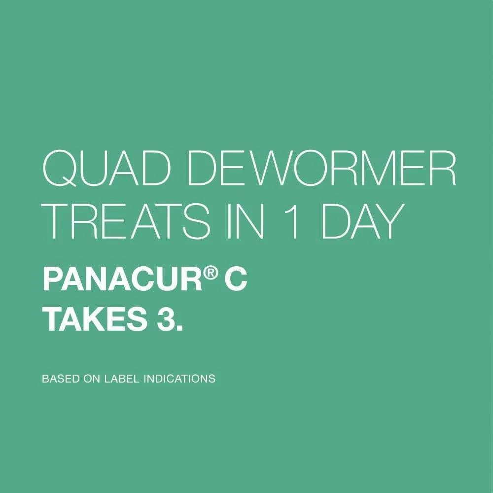 Bayer Quad Dewormer for Small Dogs, 4 Tablets