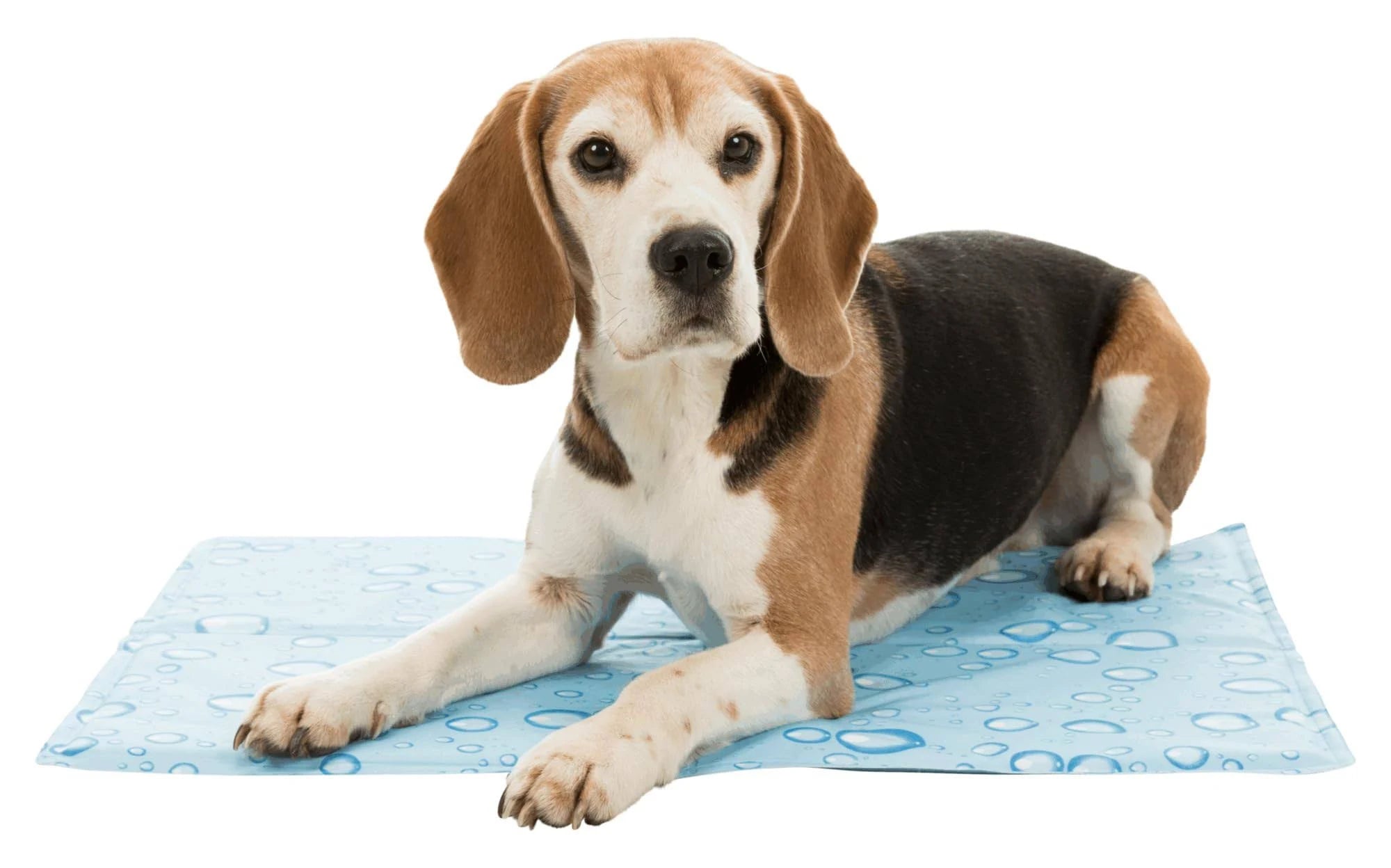 Trixie 28778 Cooling Mat, 65 × 50 cm, Light Blue