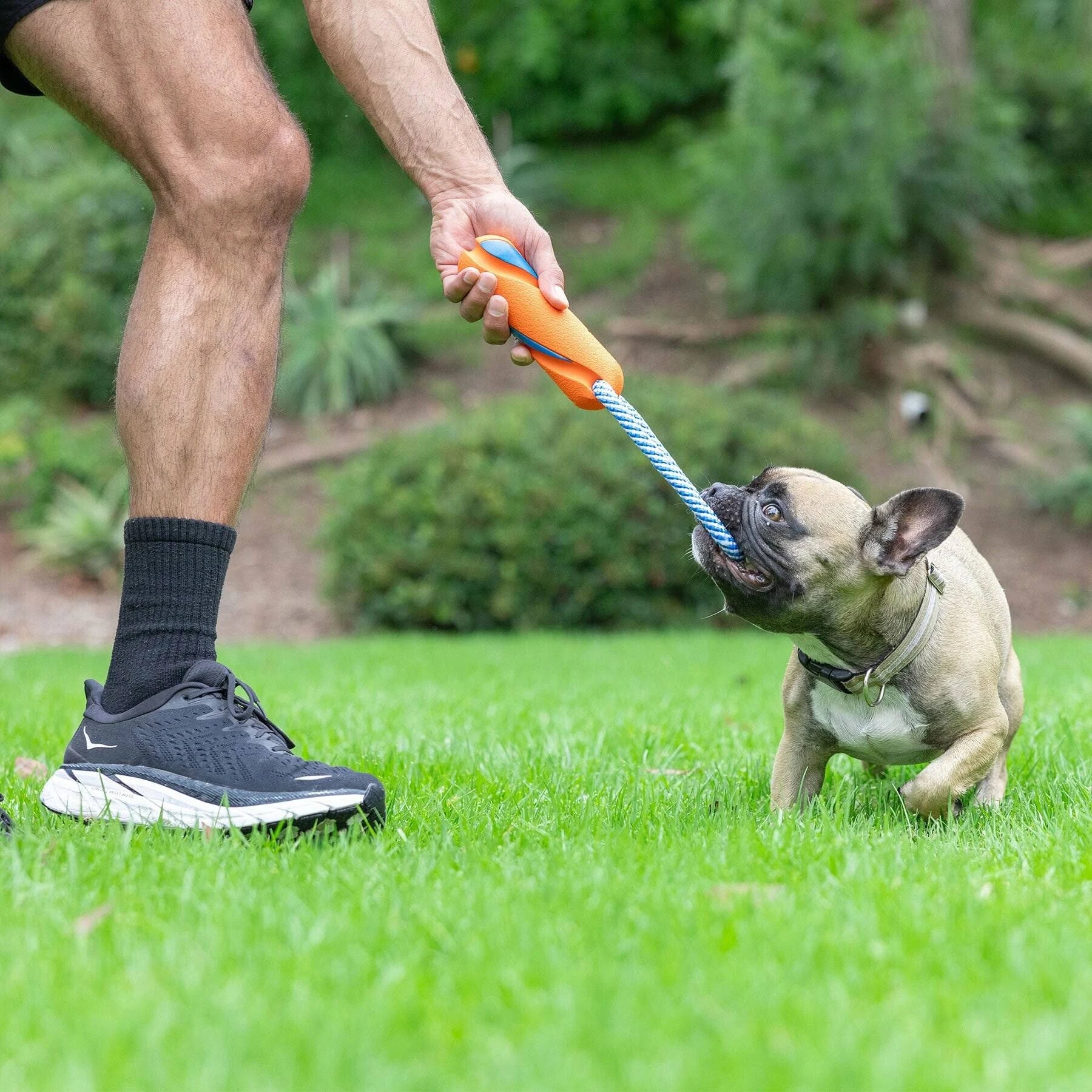 Chuckit Ultra Bumper Tug - Dog Toy