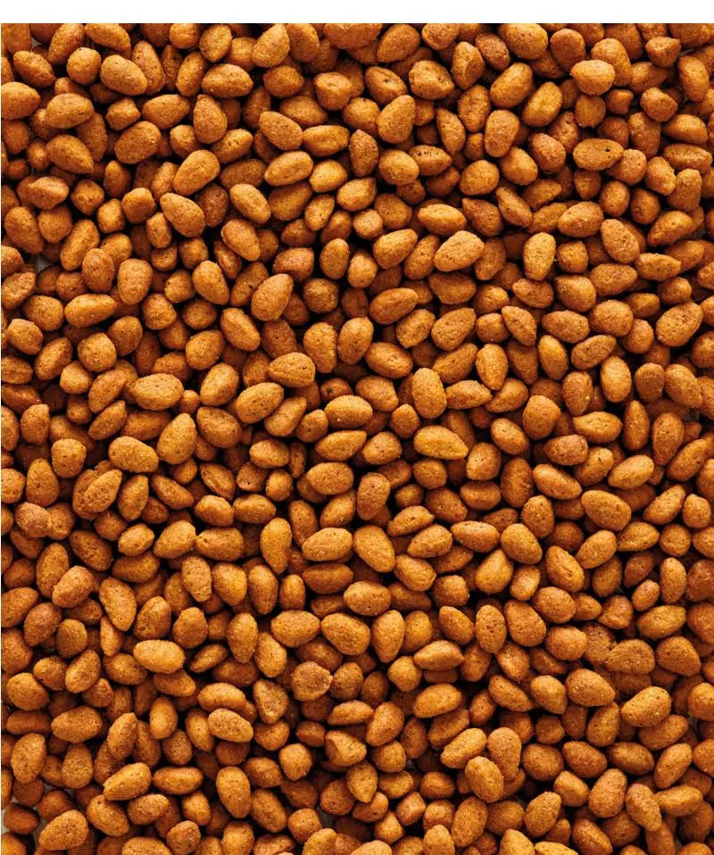 Versele-Laga Nutribird G14 Original Maintenance Food For Parakeets 1kg
