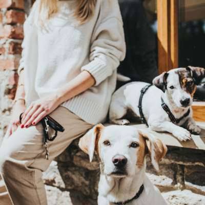 Vario Basic Tripoli Collar - Reflective and Stylish | HUNTER Pink / XS-S Length ...