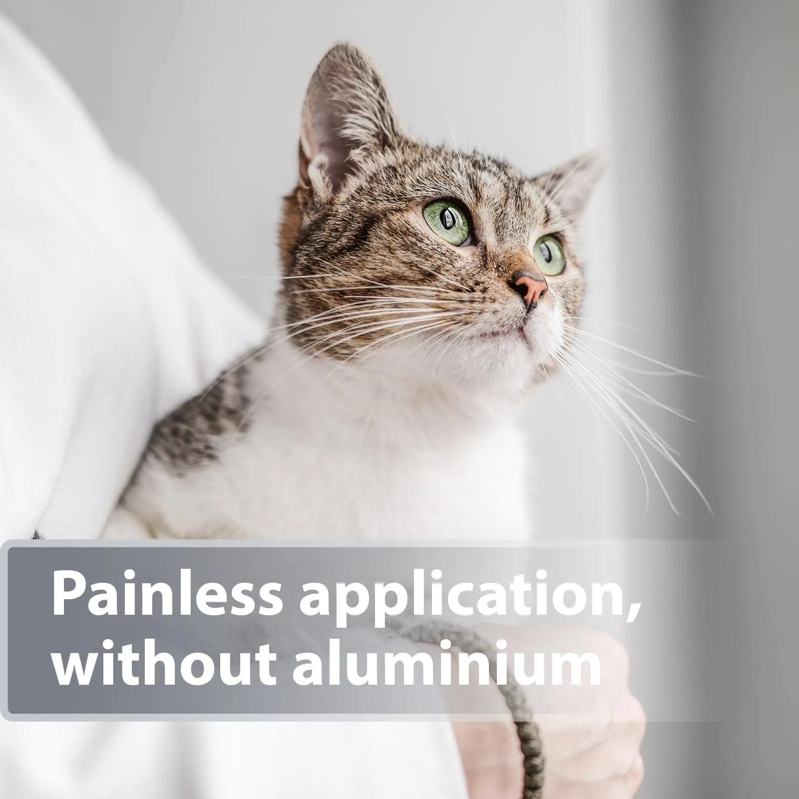 Felisept Micro Silver Spray For Cats 75ml - Cat Antiseptic Spray - Cat Skin ...