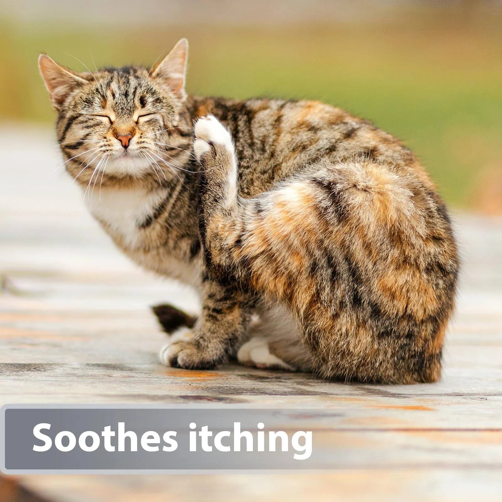 Felisept Micro Silver Spray For Cats 75ml - Cat Antiseptic Spray - Cat Skin ...