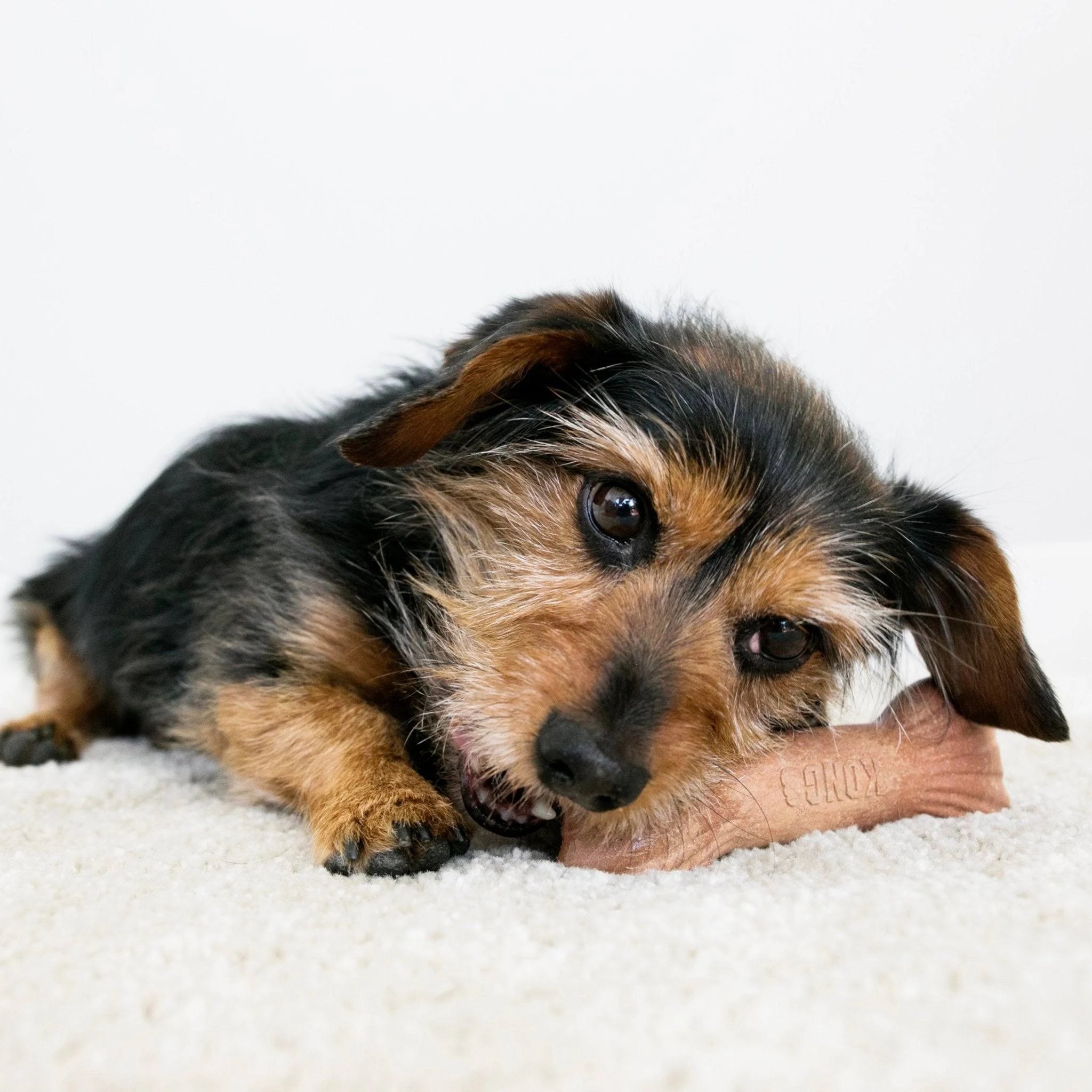 Kong ChewStix Stick - Medium