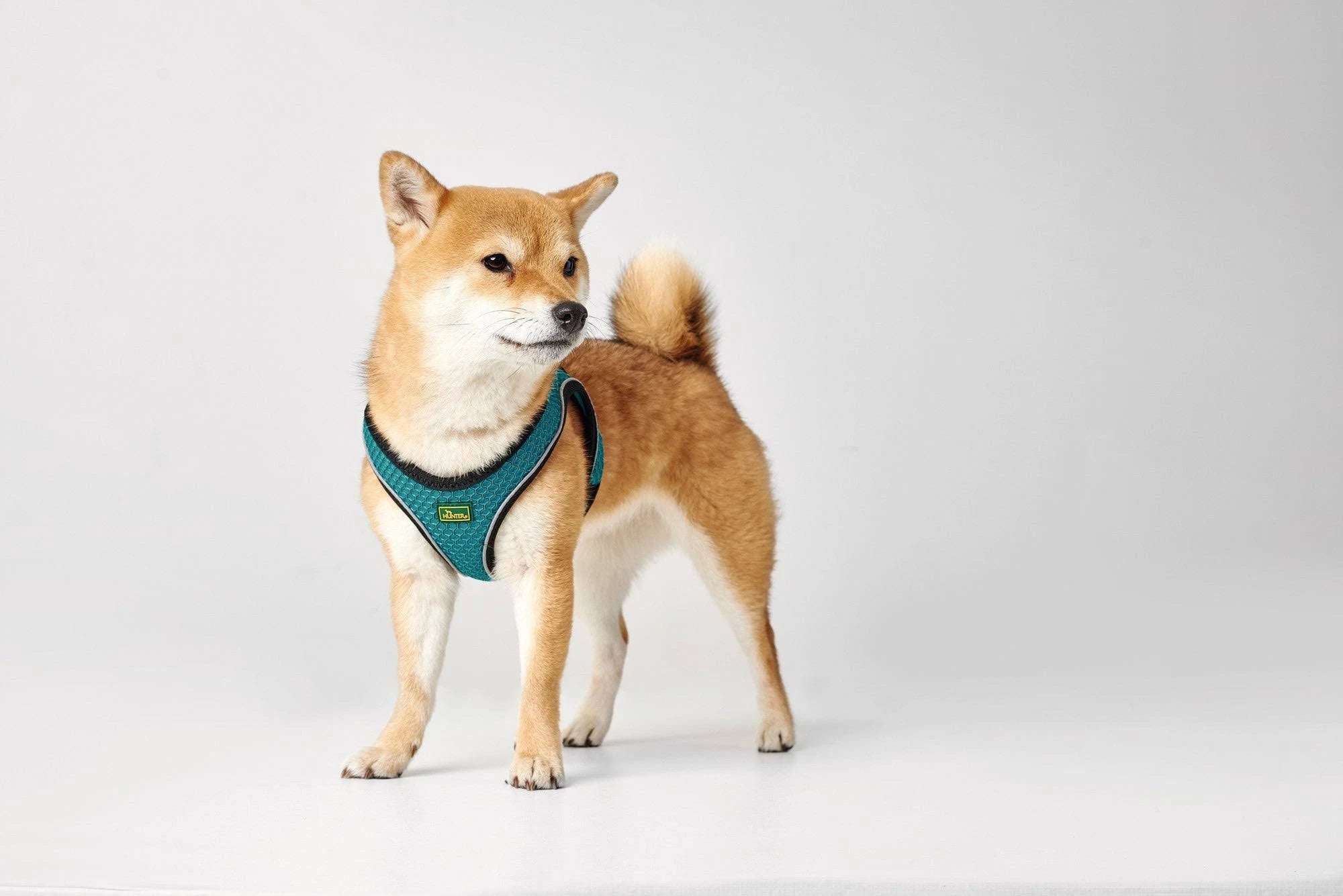 Hunter Harness Hilo Comfort Red XS