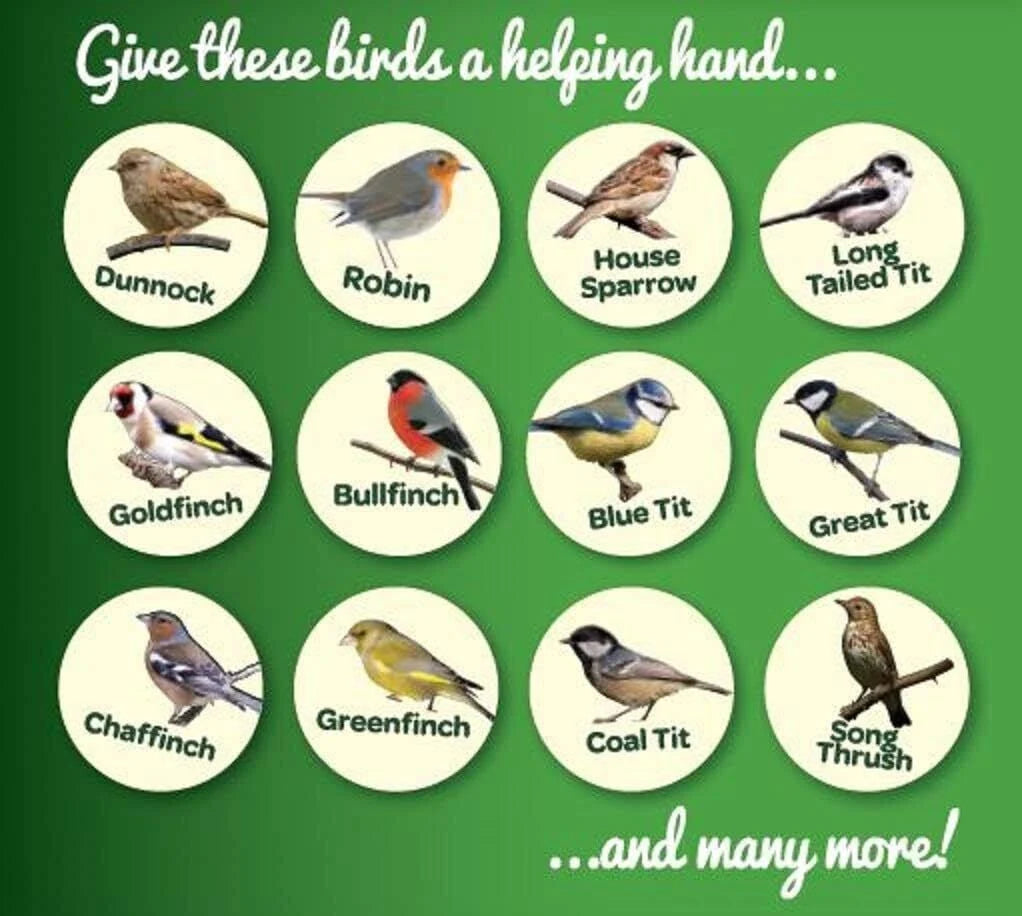 Peckish Complete Bulk Smaller Sizes - All Season Seed & Nut Wild Bird