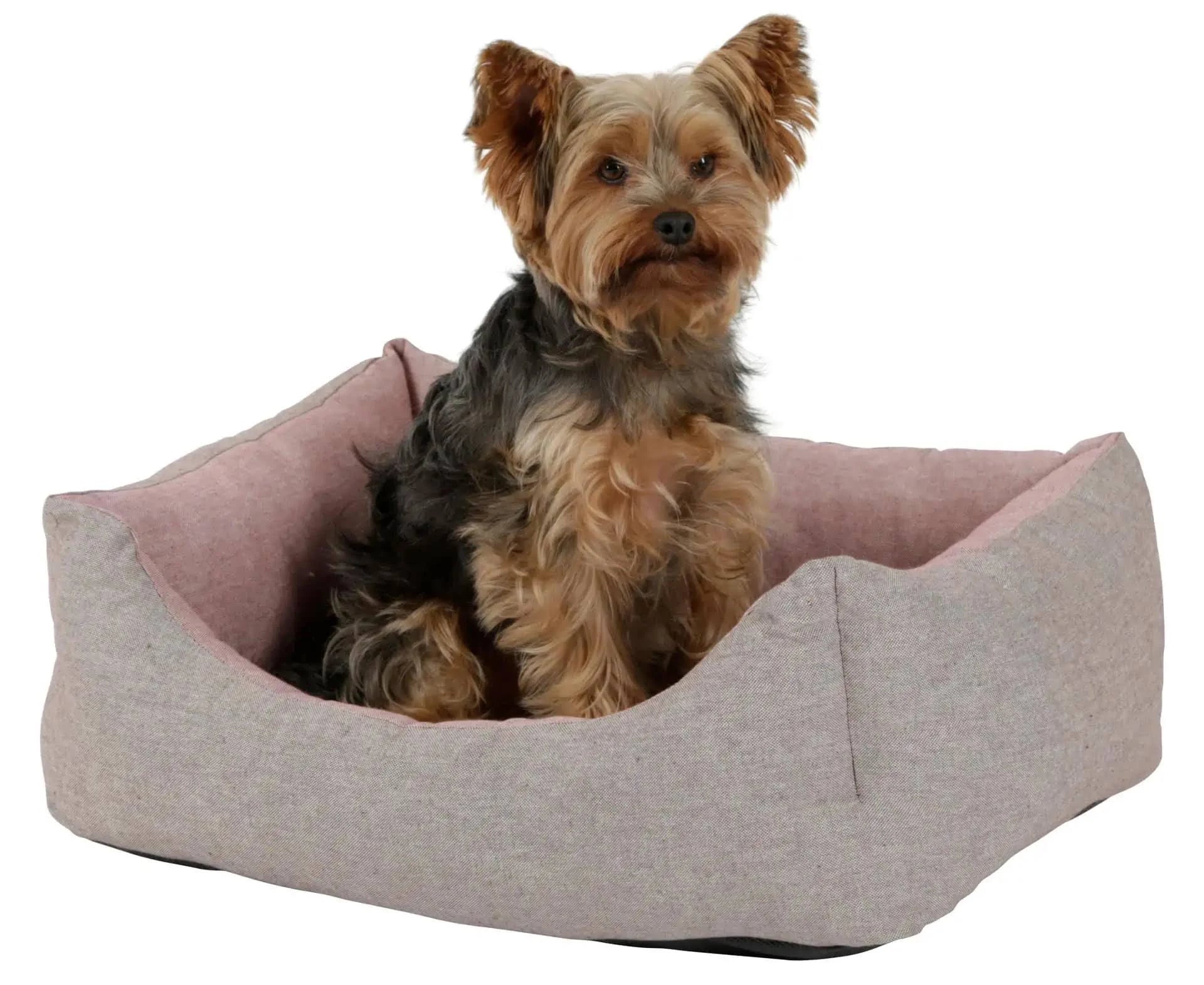 Dog Bed Kerbl Golden