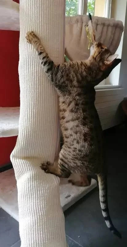 Kerbl Scratch Bag Climber For Cats