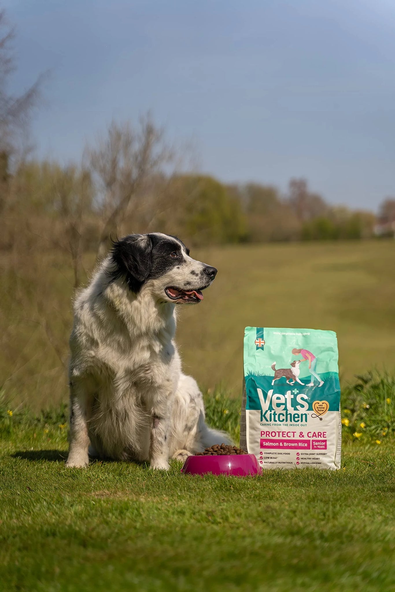 Vet's Kitchen Dry Dog Food Senior Salmon & Brown Rice Protect & Care 3kg
