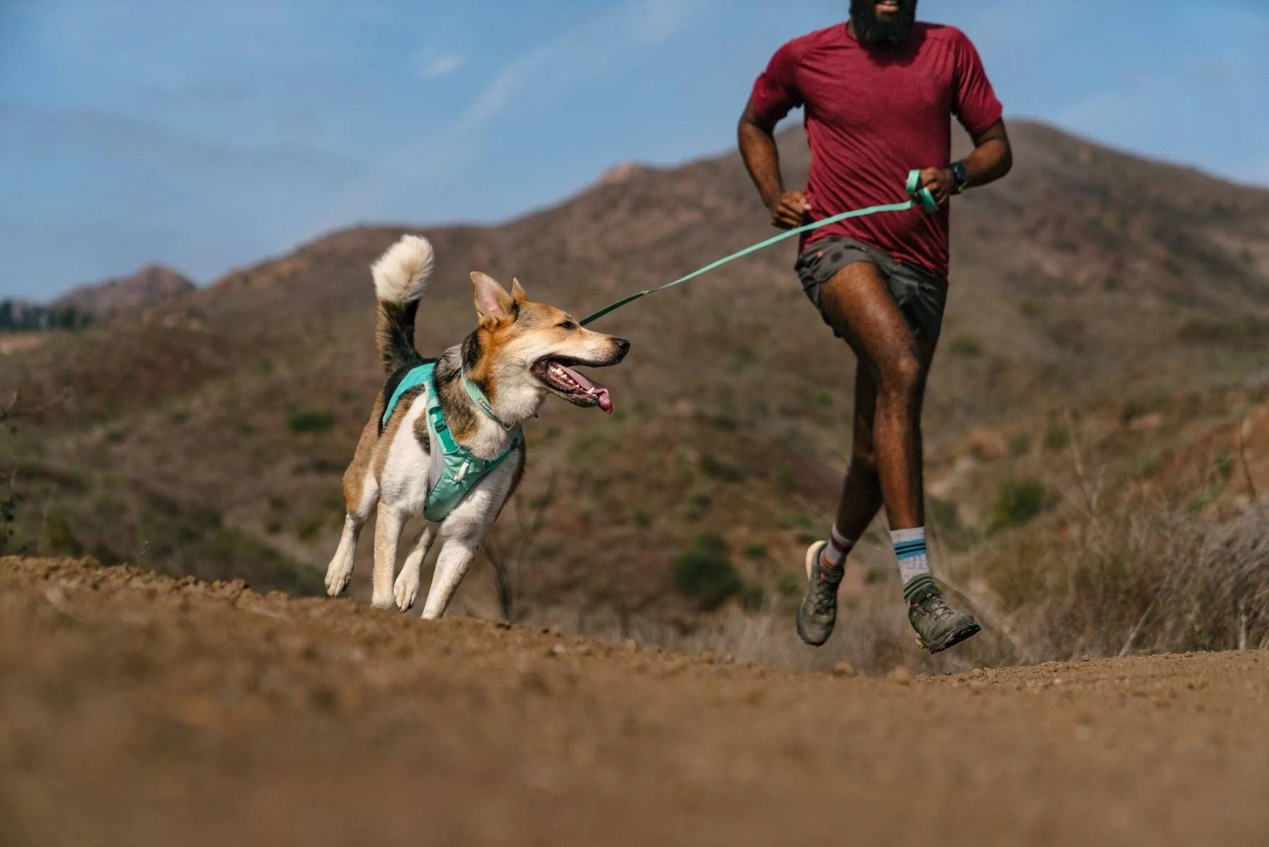 Ruffwear Hi & Light Lightweight Dog Collar Lichen Green