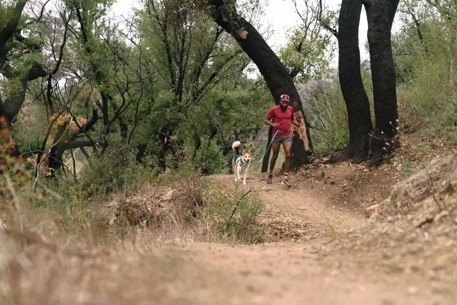 Ruffwear Hi & Light Lightweight Dog Collar Lichen Green
