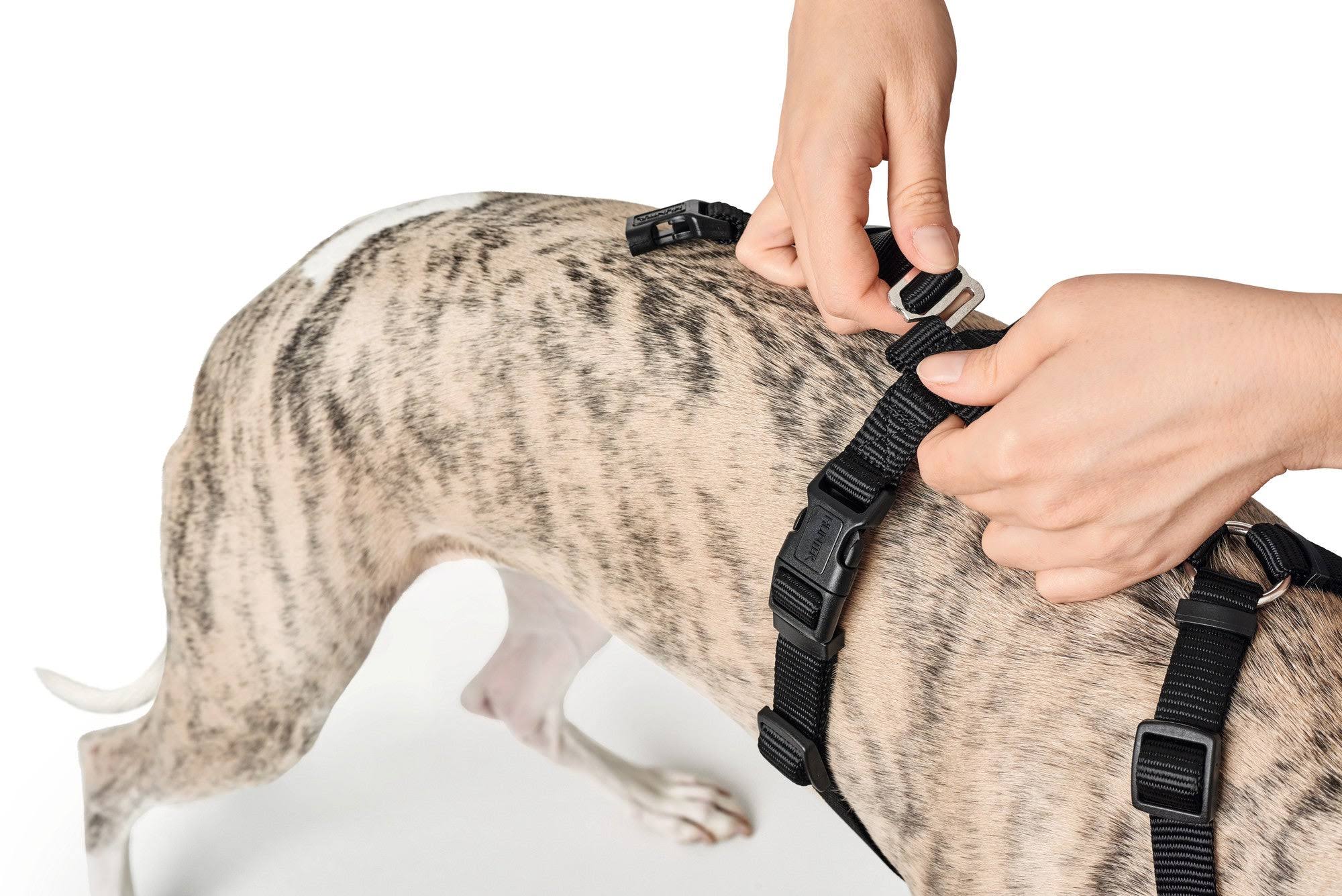 Hunter Vario Rapid Safety Harness - Brown - XS / S