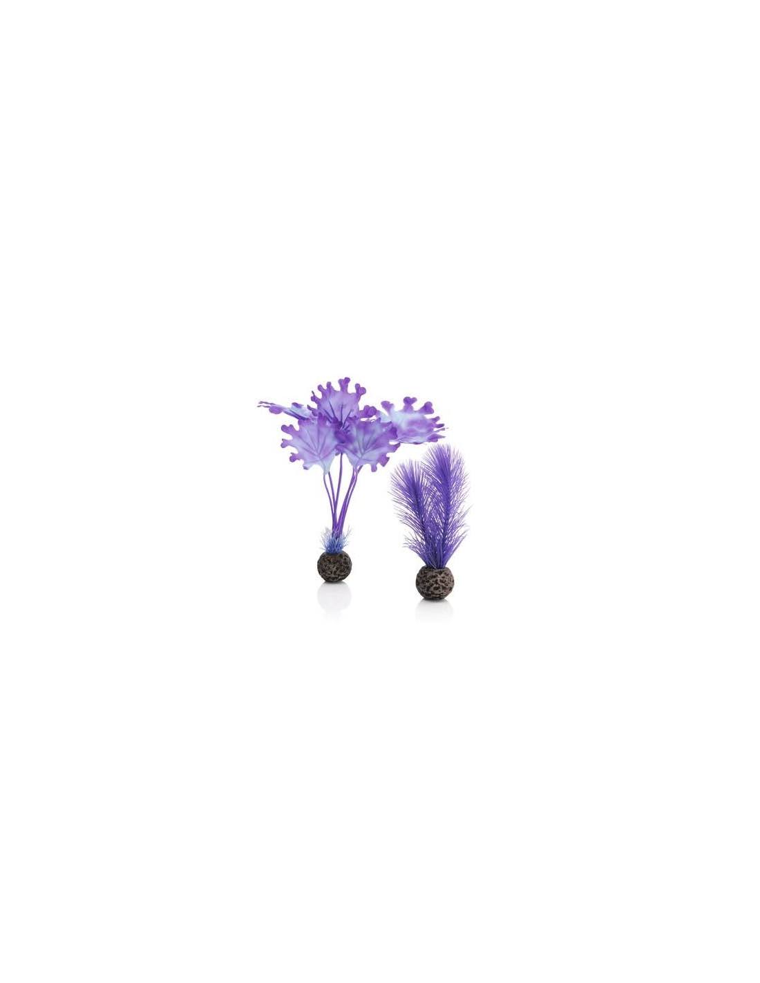 biOrb Blue/Purple Plant Pack