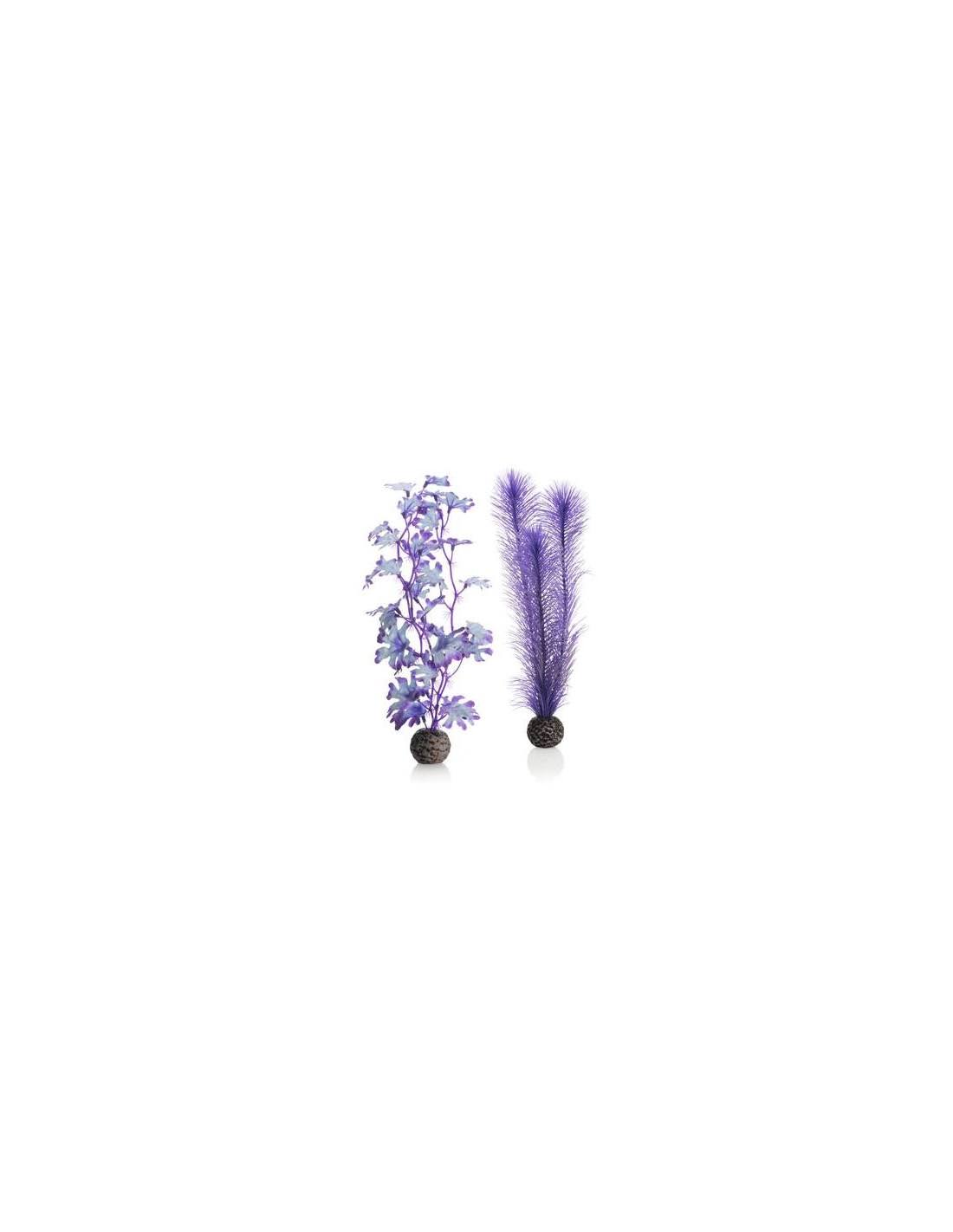 biOrb Blue/Purple Plant Pack