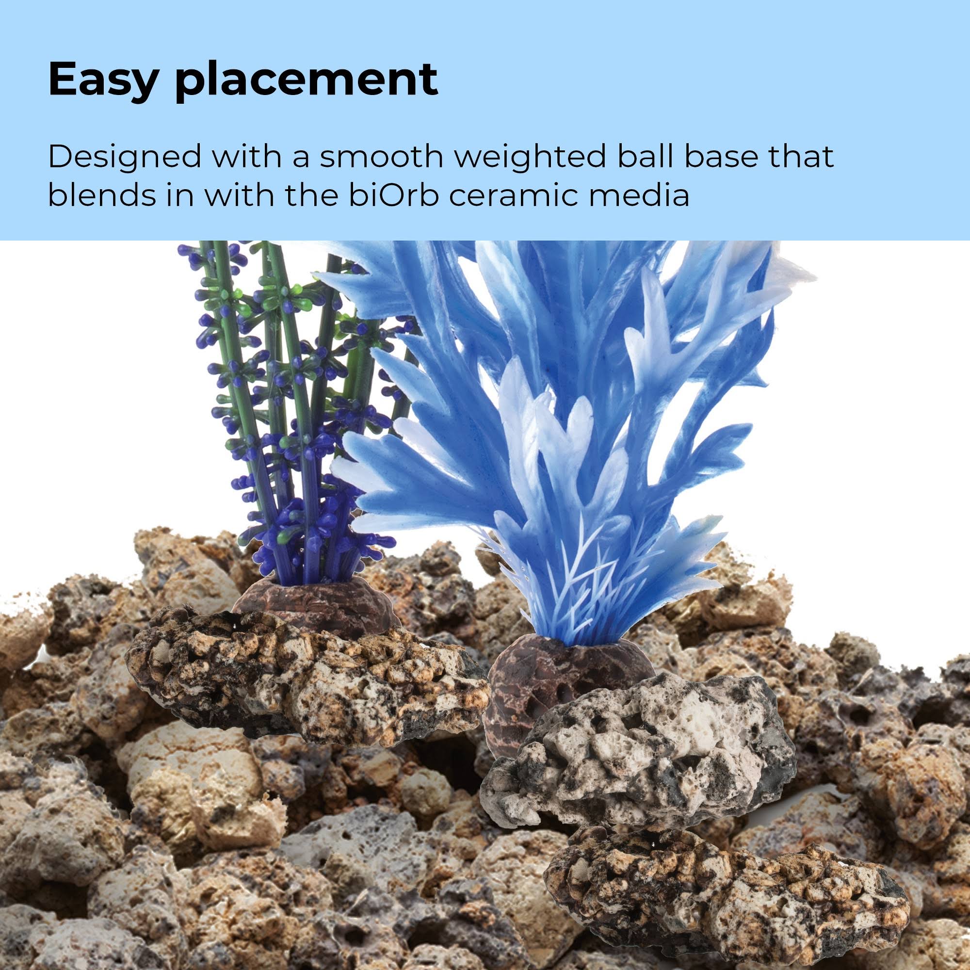 biOrb Blue/Purple Plant Pack