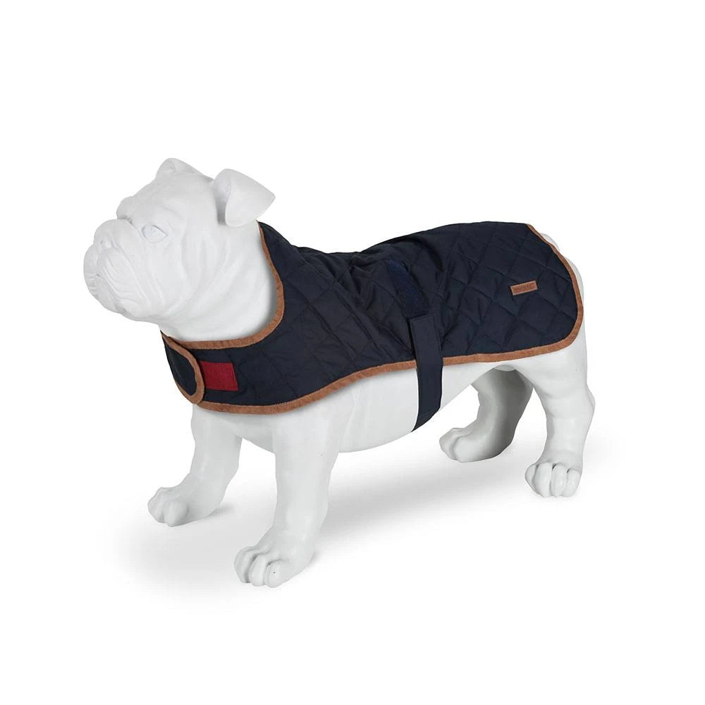 Regatta Odie Quilted Dog Coat: Navy: XL