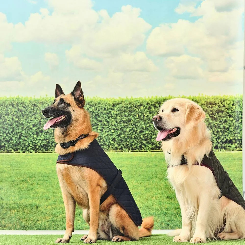 Regatta Odie Quilted Dog Coat: Navy: XL