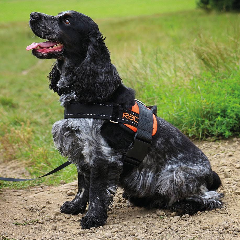 Rac Extra Large Advanced Walking Harness