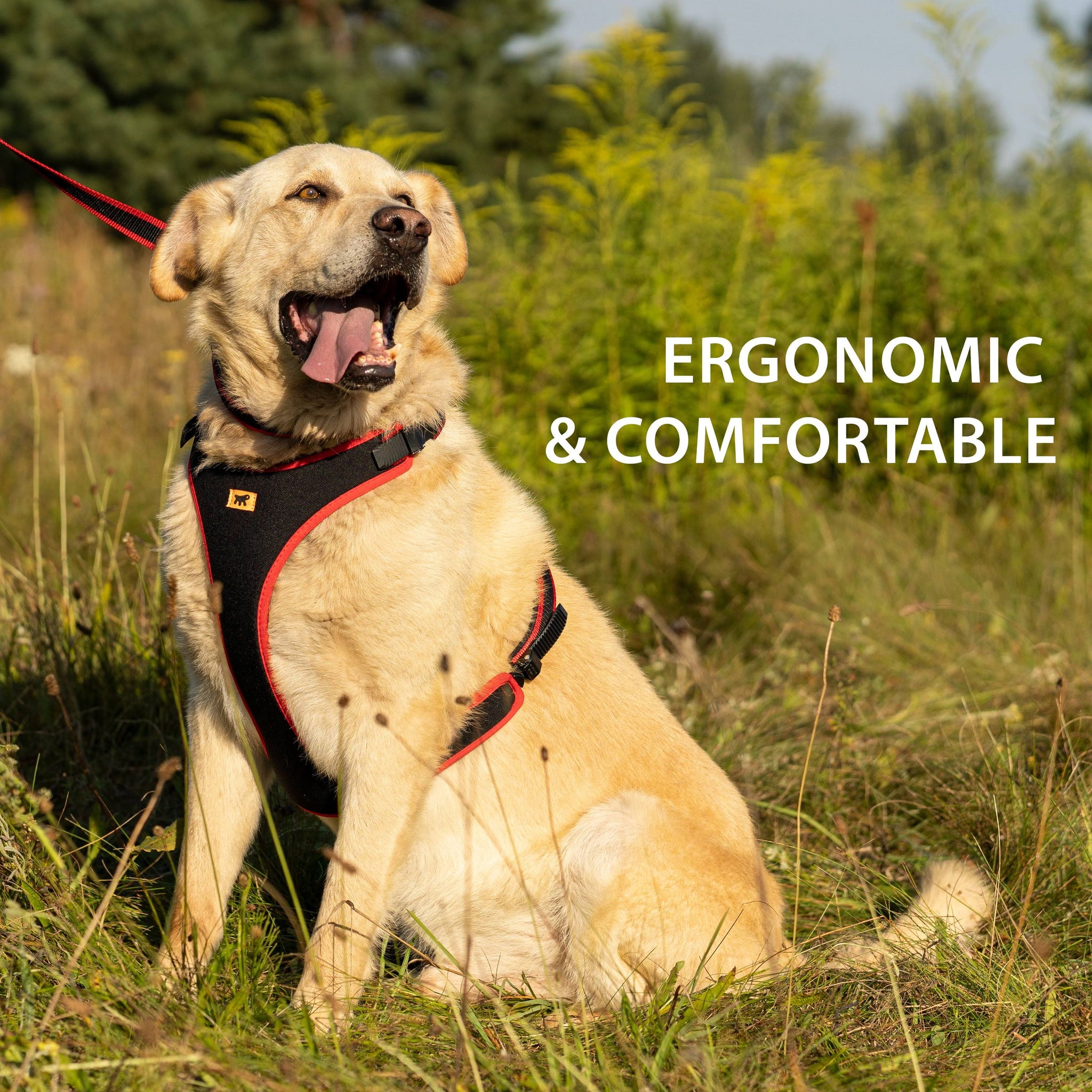 Ferplast Blue Ergocomfort Dog Harness