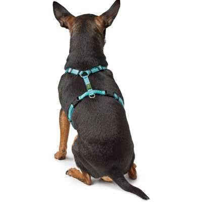 Tripoli Dog Harness - Reflective and Stylish | HUNTER Yellow / XXS-XS Neck 25 ...