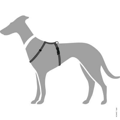Tripoli Dog Harness - Reflective and Stylish | HUNTER Yellow / XXS-XS Neck 25 ...