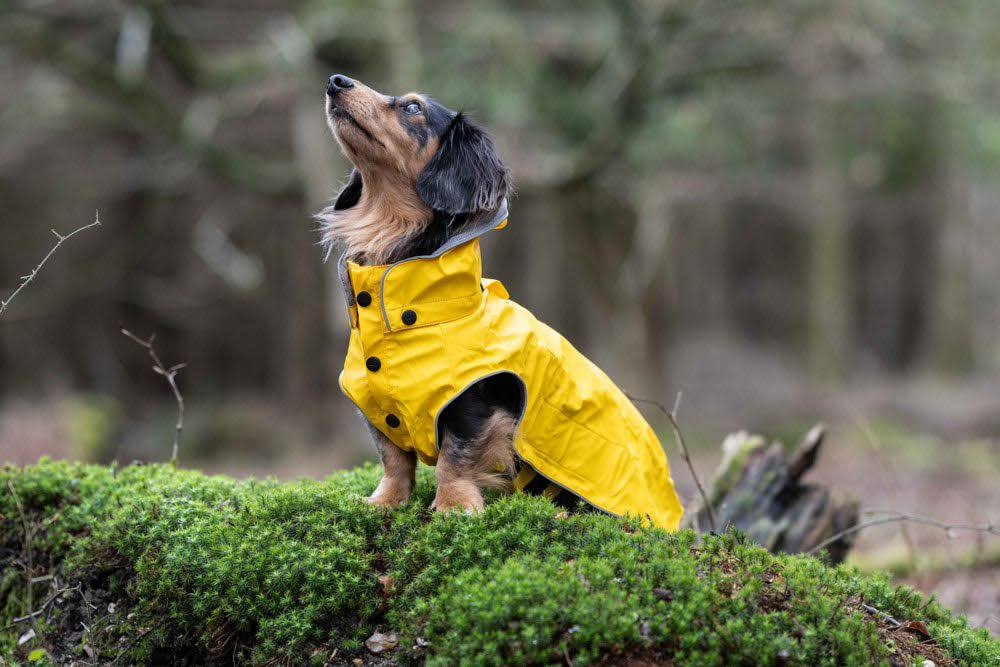 Rukka Stream Yellow Raincoat Size 55