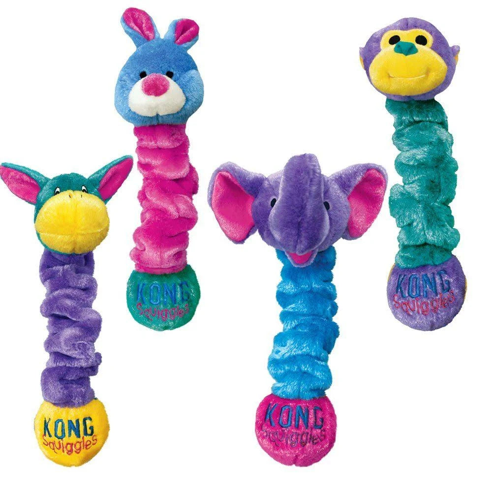 Kong Squiggles Dog Toy - Small