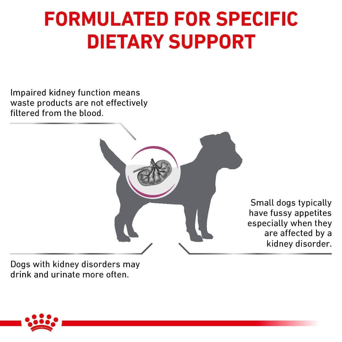 Royal Canin Veterinary Renal - Small Dog Dry Food - G10063861 - Animed