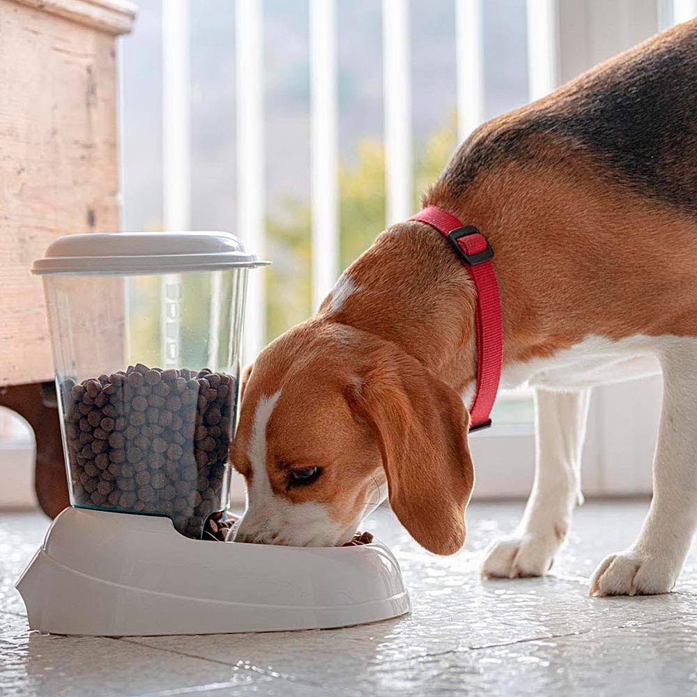 Kibble Dispenser For Dogs and Cats Ferplast Zenith